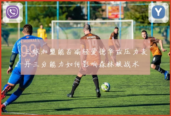 三球加盟能否减轻爱德华兹压力麦丹三分能力如何影响森林狼战术
